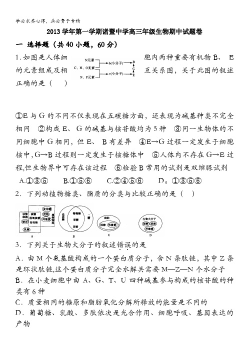 浙江省诸暨中学2014届高三上学期期中生物试卷 含答案