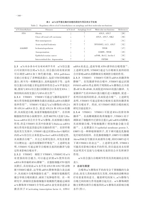 m6A修饰调控酶及其结合蛋白在细胞自噬中作用的研究进展