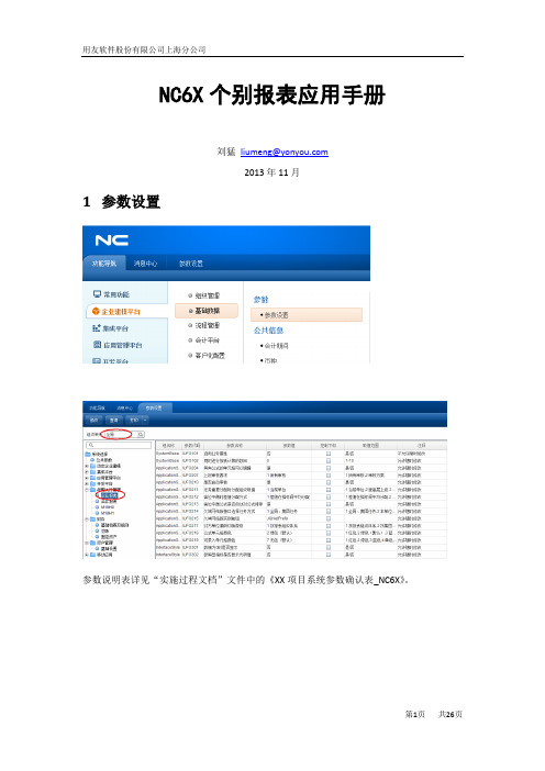 NC6X个别报表应用手册