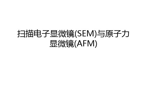 扫描电子显微镜(SEM)与原子力显微镜(AFM)只是课件