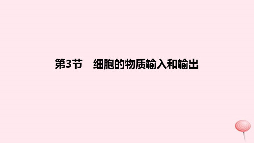 2024版高考生物一轮复习教材基础练第二章细胞的基本结构与物质运输第3节细胞的物质输入和输出教学课件