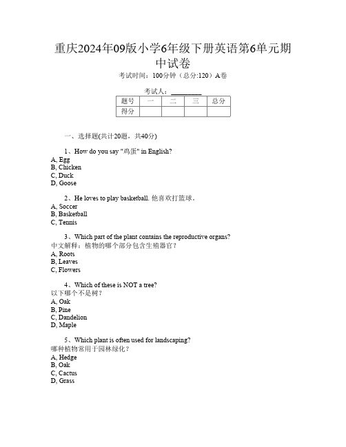 重庆2024年09版小学6年级下册E卷英语第6单元期中试卷