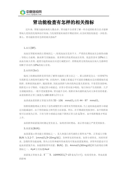 肾功能检查有怎样的相关指标