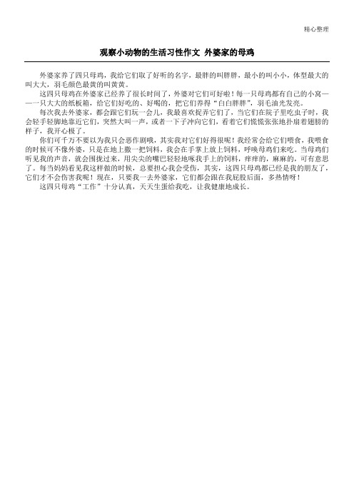 观察小动物的生活习性作文 外婆家的母鸡