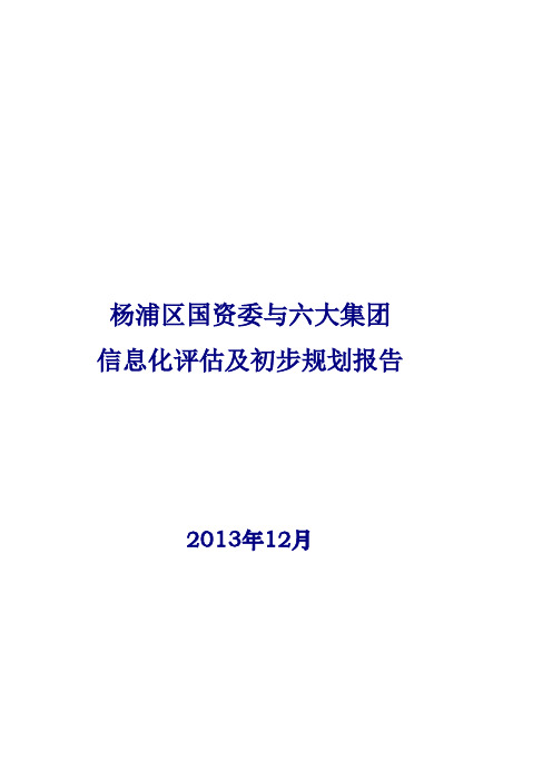 杨浦区国资委与六大集团信息化评估及初步规划报告v