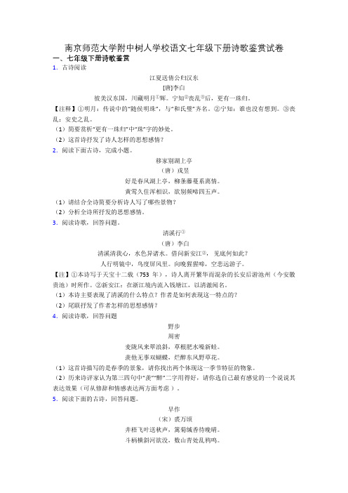 南京师范大学附中树人学校语文七年级下册诗歌鉴赏试卷