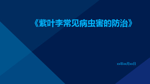 紫叶李常见病虫害的防治