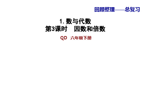 1.3因数和倍数青岛版