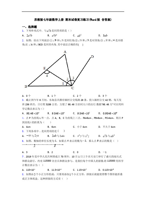 苏教版七年级数学上册 期末试卷复习练习(Word版 含答案)