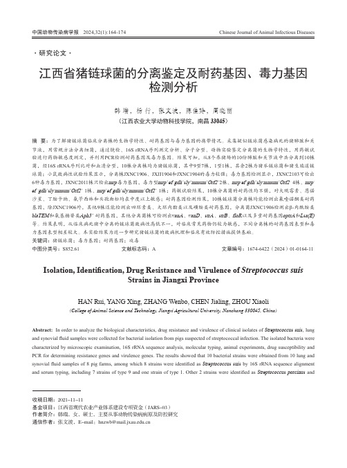 江西省猪链球菌的分离鉴定及耐药基因、毒力基因检测分析