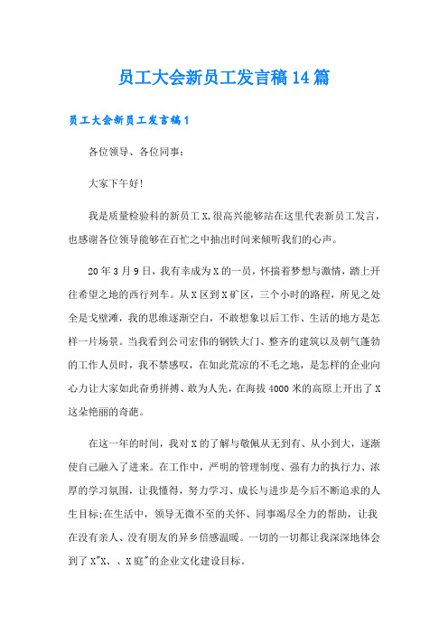 员工大会新员工发言稿14篇