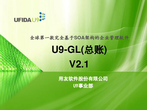 U9_财务_总账_2.1