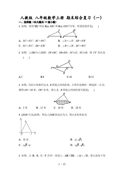 人教版 八年级数学上册 期末综合复习(一)(含答案)