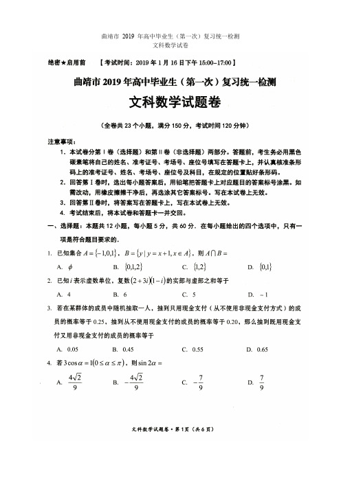 云南省曲靖市 2019 年高中毕业生(第一次)复习统一检测(文科)数学试题含答案