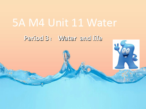 五年级英语上册Unit11Water第1课时课件牛津上海版