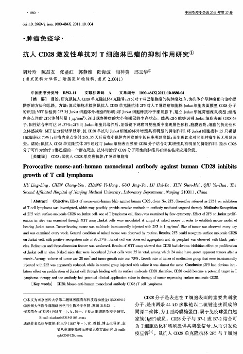 抗人CD28激发性单抗对T细胞淋巴瘤的抑制作用研究