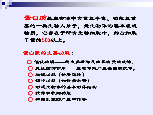 第十五章氨基酸多肽与蛋白质