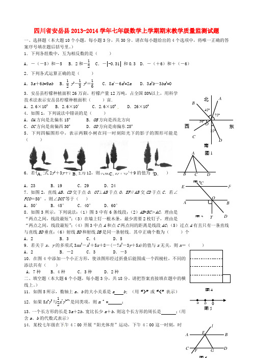四川省安岳县七年级数学上学期期末教学质量监测试题 华东师大版