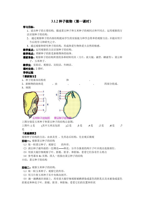 种子植物导学案