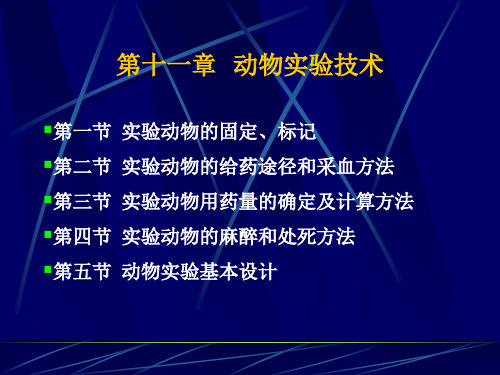 第十一章 动物实验技术 ppt课件