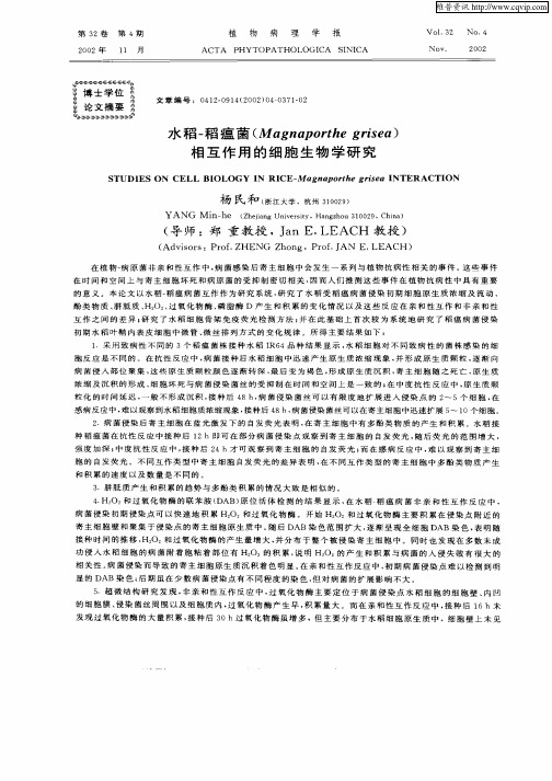 水稻—稻瘟菌(Magnaporthe grisea)相互作用的细胞生物学研究