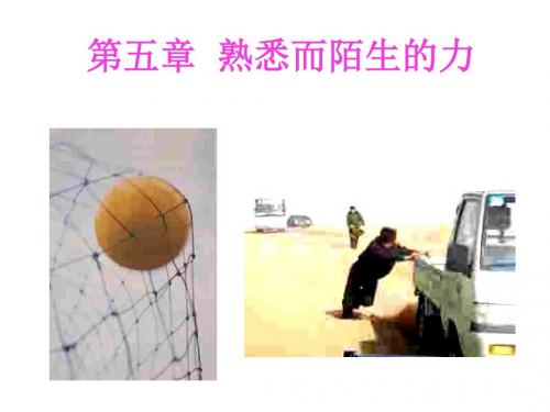 沪科版八年级物理《第五章 熟悉而陌生的力》课件