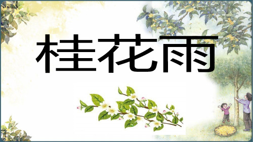 《桂花雨》优教课件(共19张PPT)