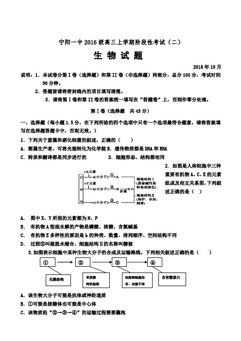 山东省泰安市宁阳一中2019届高三上学期10月月考生物试题(含答案)