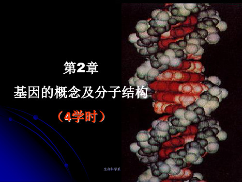 分子生物学 基因的概念和结构