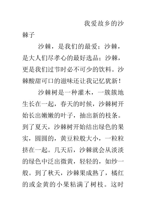 我爱故乡的沙棘子