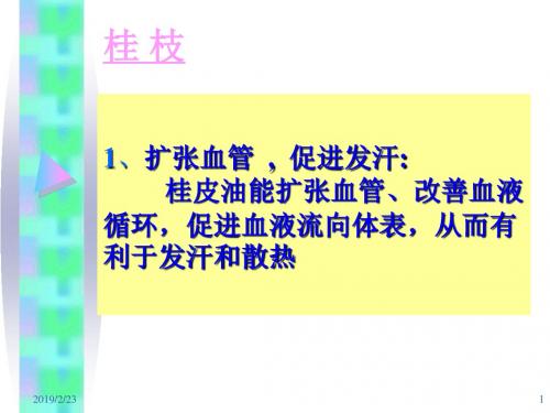 中药药理学---桂枝、细辛、葛根