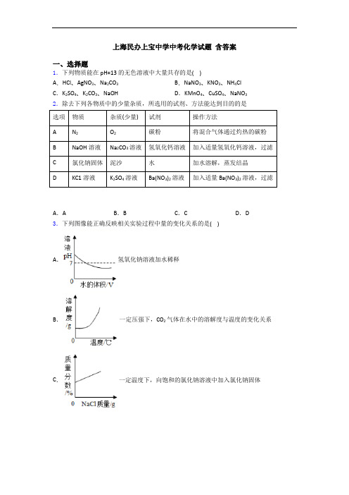 上海民办上宝中学中考化学试题 含答案