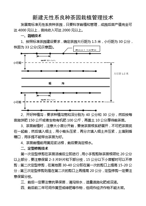 新建无性系良种茶园栽植管理技术