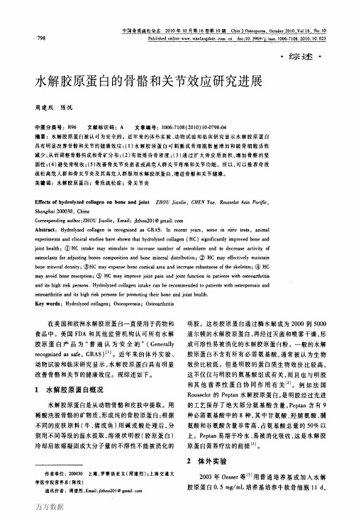 水解胶原蛋白的骨骼和关节效应研究进展