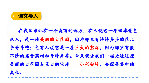 部编版三年级上册语文 20 美丽的小兴安岭 课件(PPT 44页)