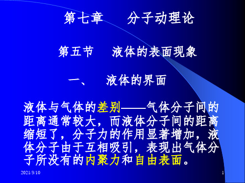 表面张力课件PPT