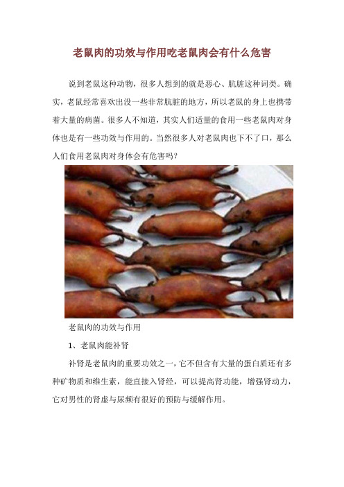 老鼠肉的功效与作用 吃老鼠肉会有什么危害