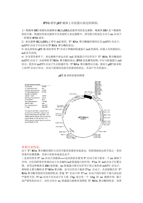 IPTG诱导pET载体上目的蛋白表达的原因