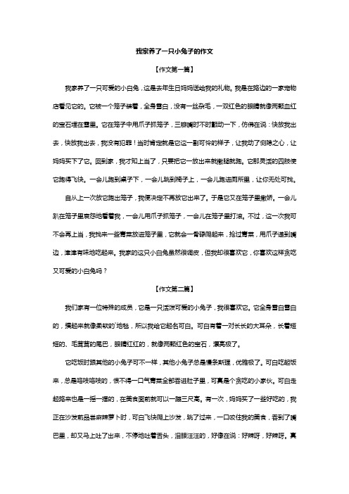 我家养了一只小兔子的作文