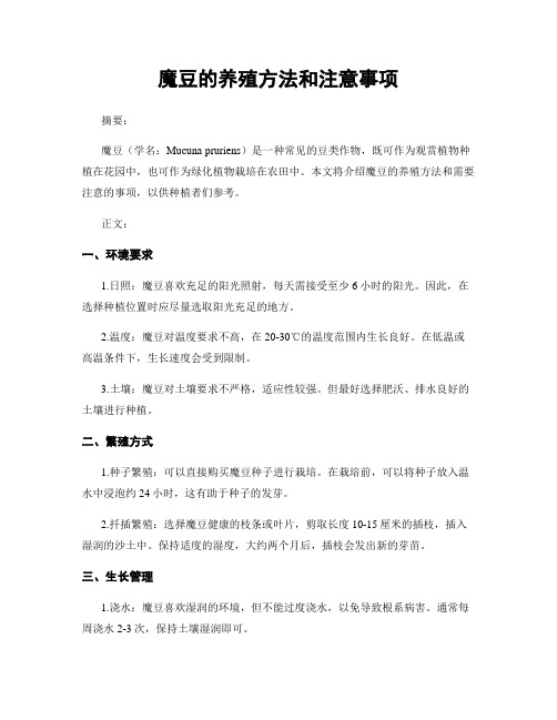 魔豆的养殖方法和注意事项