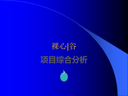 莫干山裸心谷项目分析ppt课件