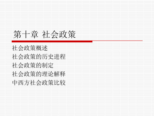 《社会学概论》课件PPT第10章 社会政策