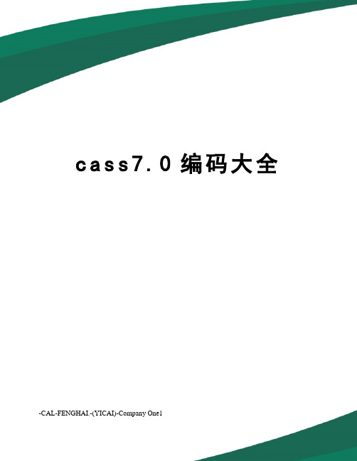 cass7.0编码大全