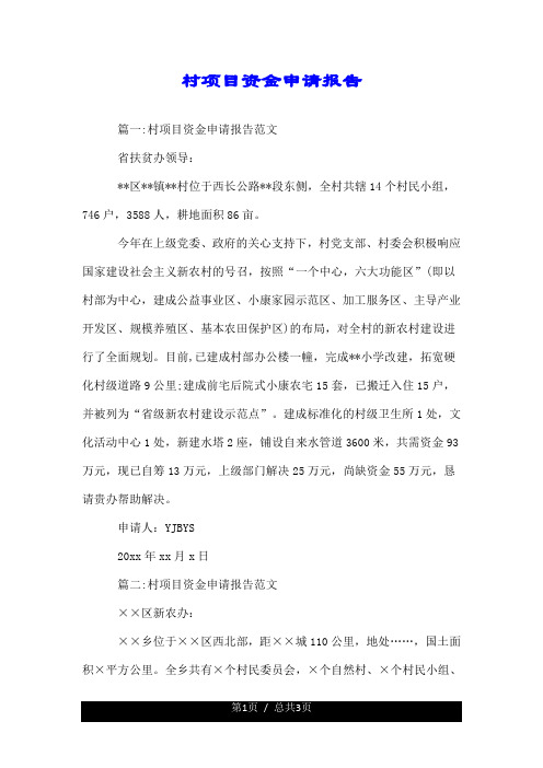 村项目资金申请报告.doc