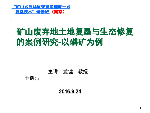 矿山废弃地土地复垦与生态修复的案例研究以磷矿为例 ppt课件