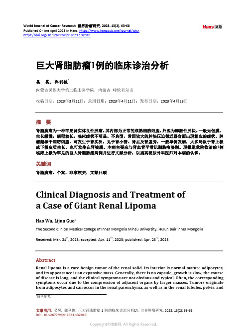 巨大肾脂肪瘤1_例的临床诊治分析