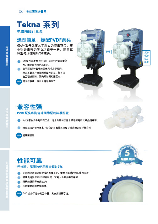 电磁计量泵TEKNA