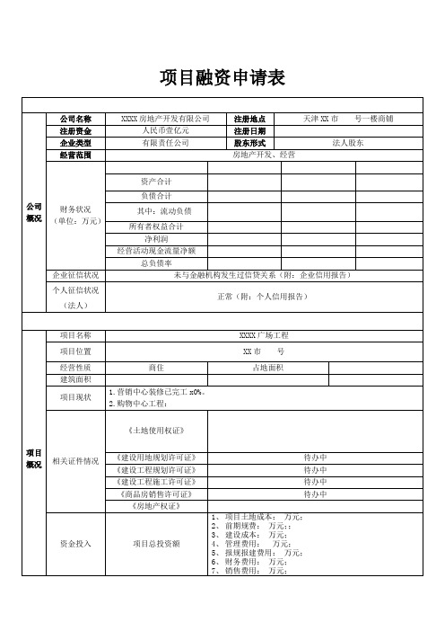 项目融资申请表模板(新)---文顾律所鲁宏