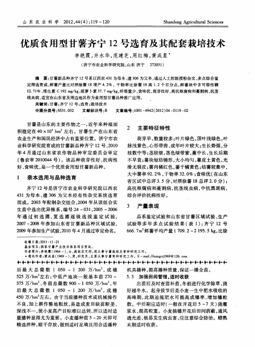 优质食用型甘薯齐宁12号选育及其配套栽培技术