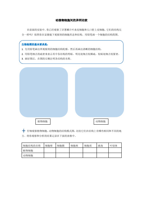 动、植物细胞间的异同比较